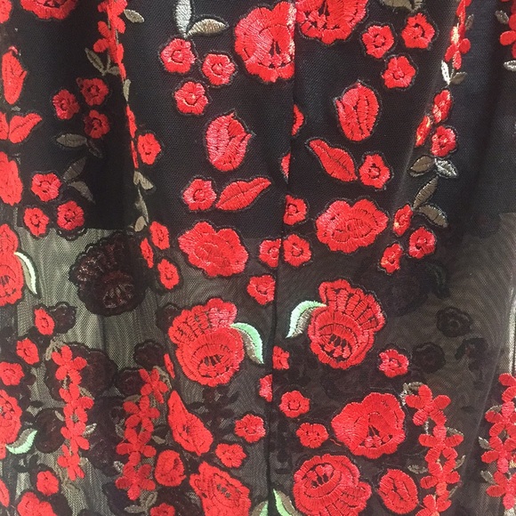 Nasty Gal Sworn to Secrecy embroidered dress - Picture 7 of 8